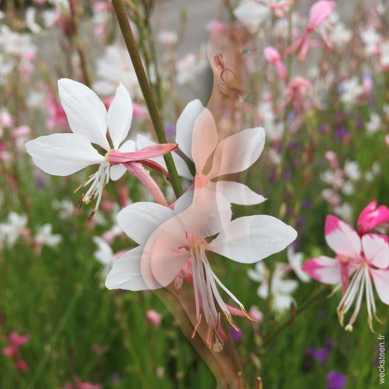 GAURA
